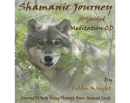 Shamanic Journey Guided Meditation